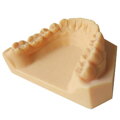 Dental Model Resin - resin for dental modeling ESUN 1 kg