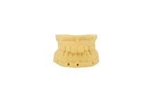 Dental Model Resin - resin for dental modeling ESUN 1 kg
