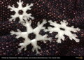 PLALAMENT CRYSTAL CLEAR 1.75mm 750g Fillamentum